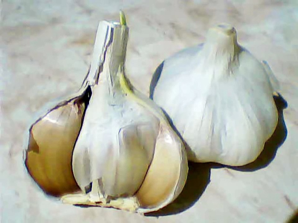 Вся правда о - ЧЕСНОК - народная медицина