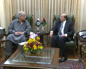 Chairman Senate Raza Rabbani Called On Sindh CM