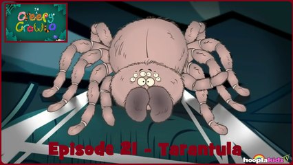 I'm a Creepy Crawly - Episode 21 - Tarantula