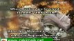 Dr. Zakir Naik Videos. About Catholic Terrorists & Double Standards of Media!