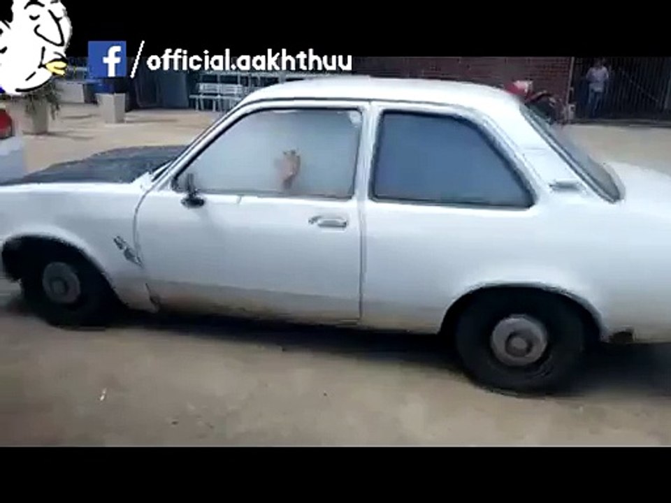 What Is Happening In The Car.mp4