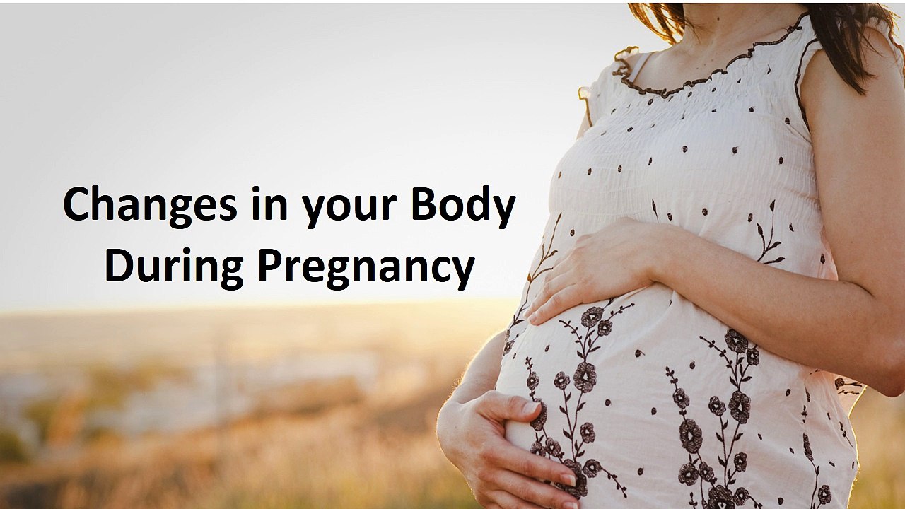 Changes in your Body During Pregnancy