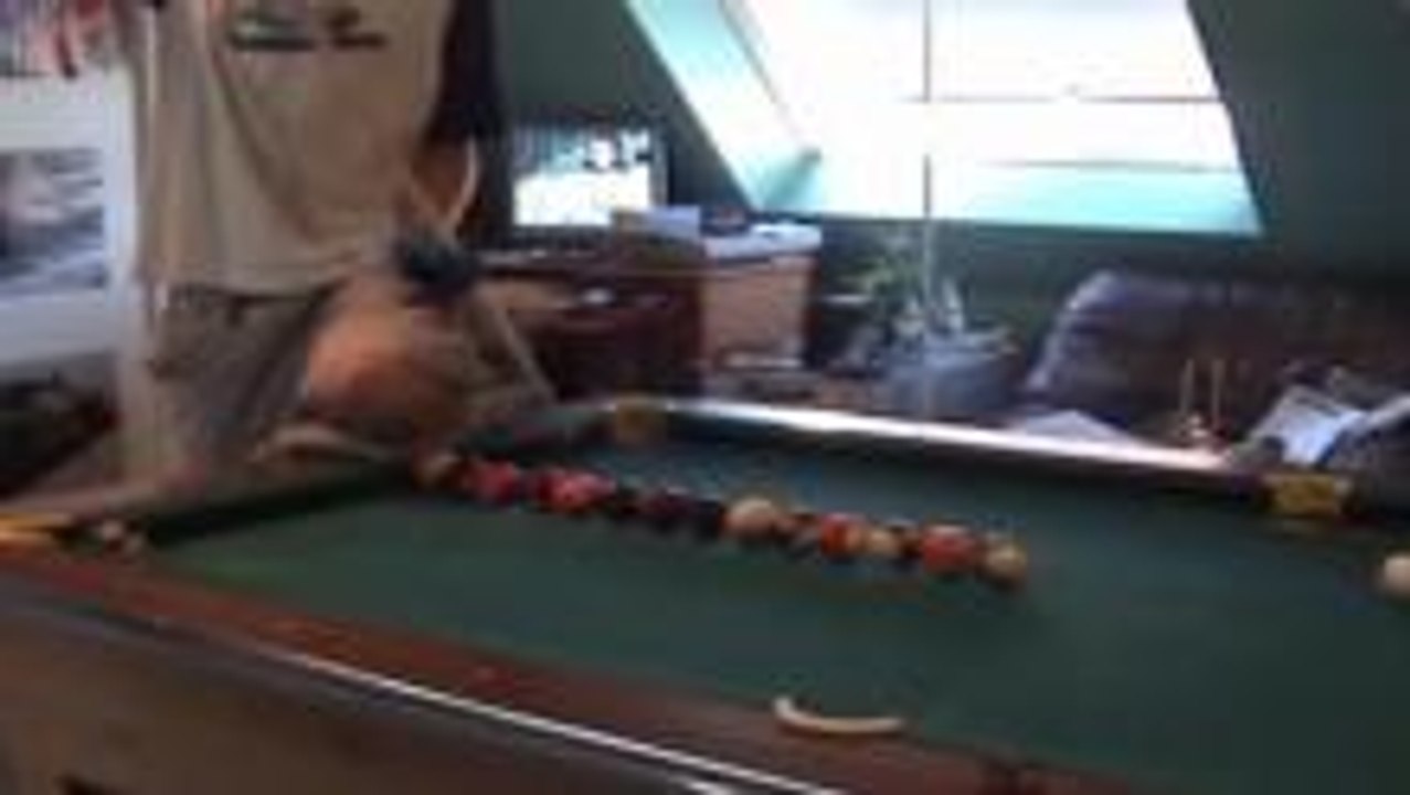 Video 19