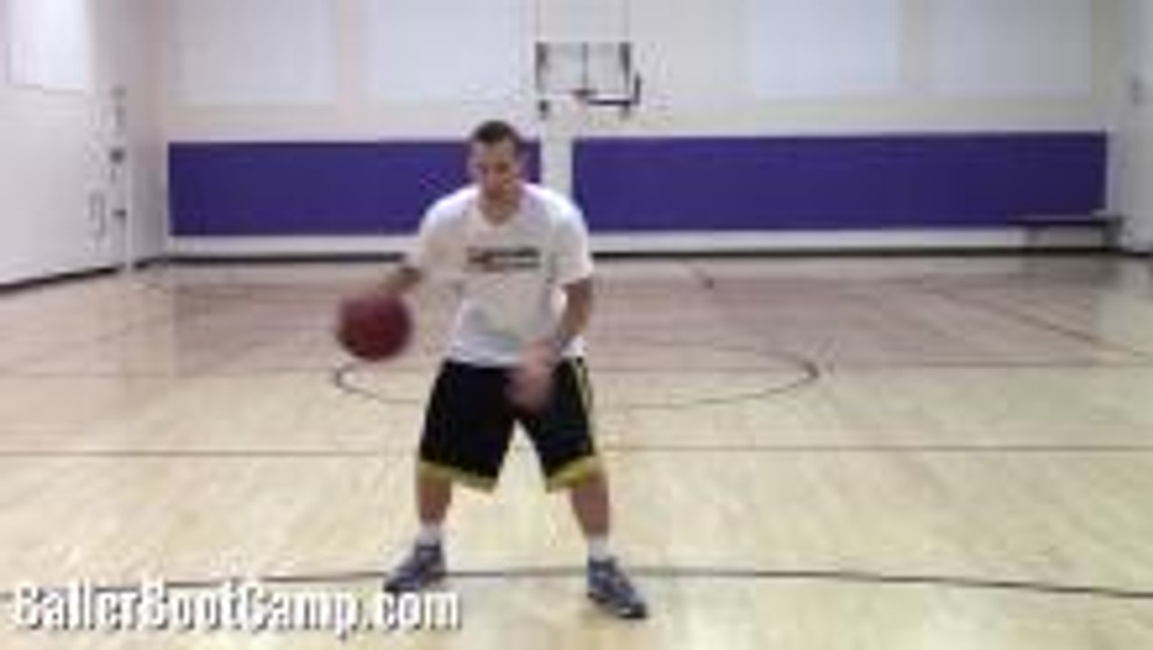 Deron Williams Crossover