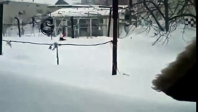 Кот взвращается домой по шею в снегу