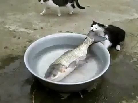 Супер смотреть всем