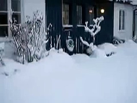 Кошка прыгает по снегу домой