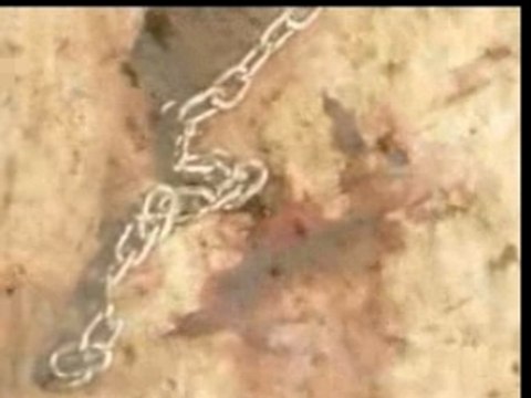 Teaser - Scars Of Chaos - Daemonic Alchemy