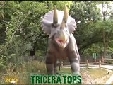 Mesozoic Idol  Triceratops (Week 6)