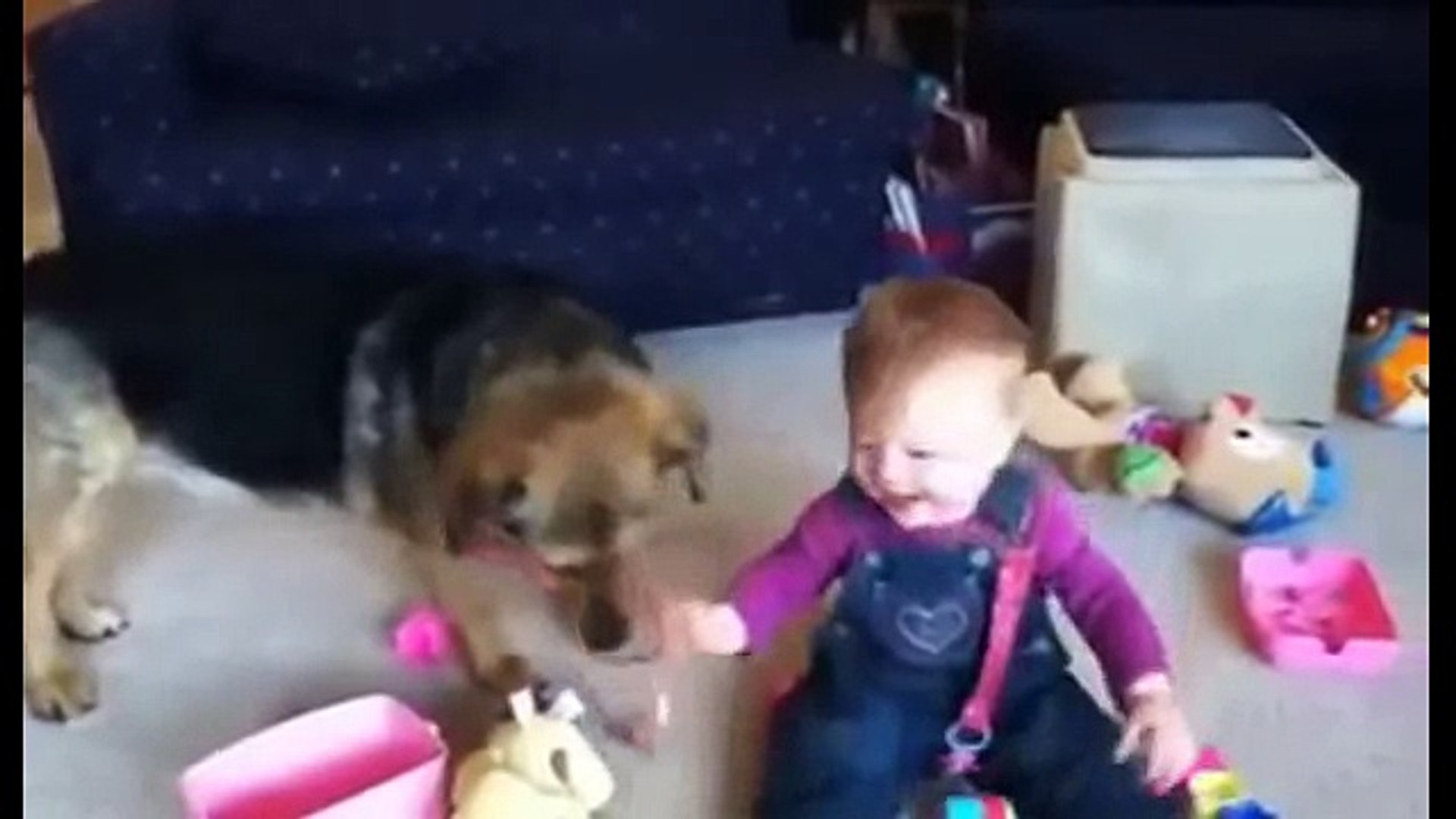 ⁣Pets and our children Домашние животные и наши дети