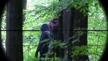 Airsoft Sniper Gameplay - Scope Cam - Sneaking up the River