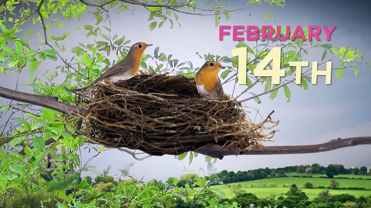 Bet You Didn't Know- Valentine's Day - History