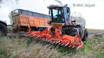 Claas Jaguar 870 Loonwerken Willem Claeys mais 2013