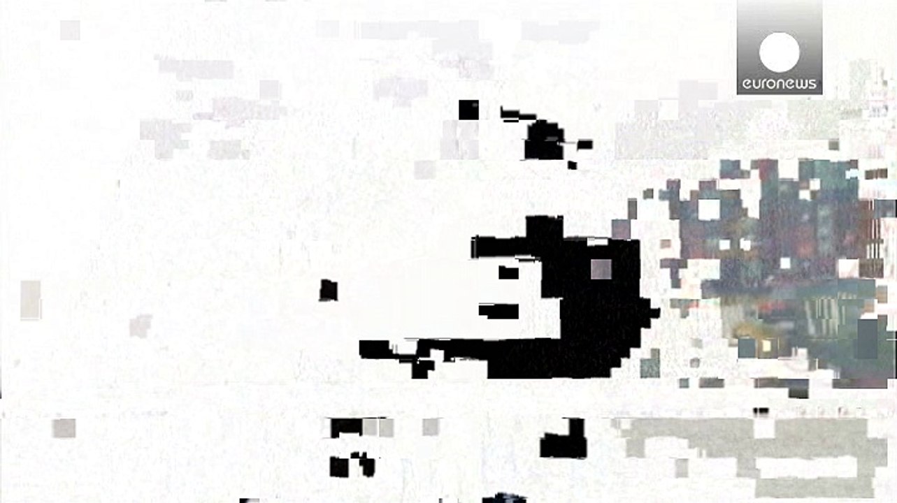 Containerriese verstopft die elbe