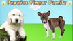 Puppies - Finger Family Song Nursery Rhymes - Dogs Puppies Family Finger