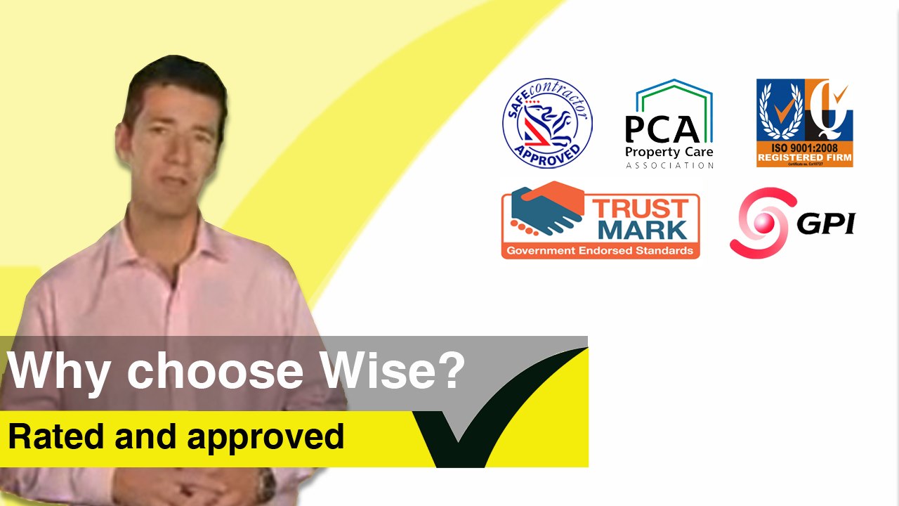 Wise Knotweed Experience and Qualifications