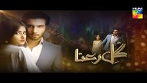 Gul E Rana Episode 14 promo 2016 -