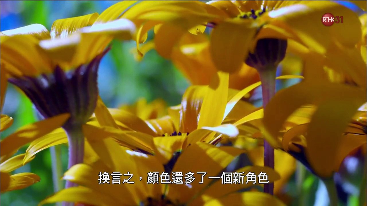 零距離科學_2016-01-08_科學的十五道色彩 - 生命的色彩