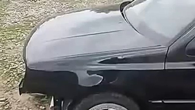 Живой мотор