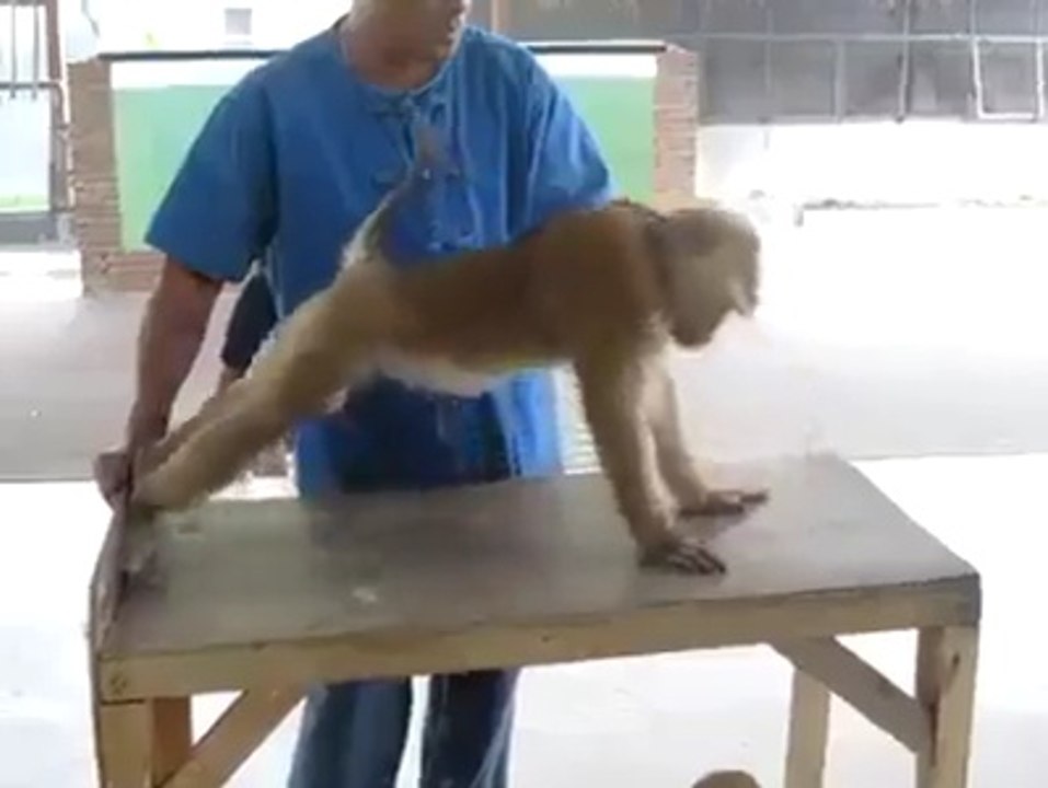 so funyy must watch  fun maza