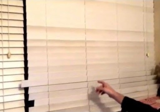 Sneaky Cat Lurks Behind Window Blinds and Pounces on Family Member