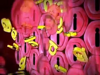 How Diabetes Effects on our Body 3D Animation Video