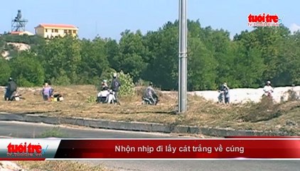 Nhộn nhịp đi lấy cát trắng về cúng