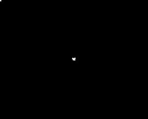 К рожающей корове лучше никогда не подходить!