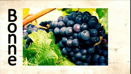 La Bonne Etape - La truffe