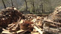 Moratoriumi pyjeve, drutë e zjarrit do të priten nga bashkia - Top Channel Albania - News - Lajme