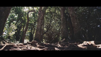 HOME SWEET HOME (OFFICIAL MUSIC VIDEO) - RICKY DILLON