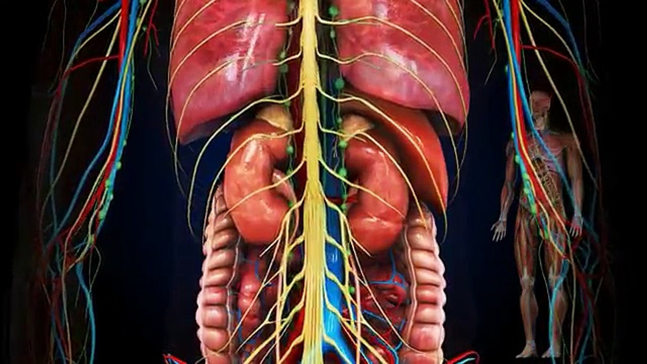Diabetes & Associated Complications