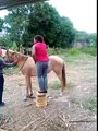 Como Montarse En un Caballo Sin Matarse en El Intento