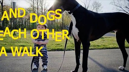 Babies and dogs take each other for a walk
