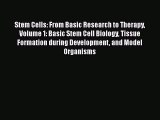 Stem Cells: From Basic Research to Therapy Volume 1: Basic Stem Cell Biology Tissue Formation