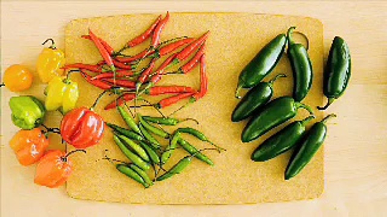 Chili Peppers