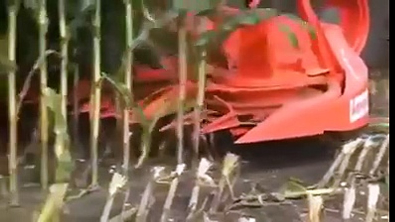 Cutting Crop in just few seconds
