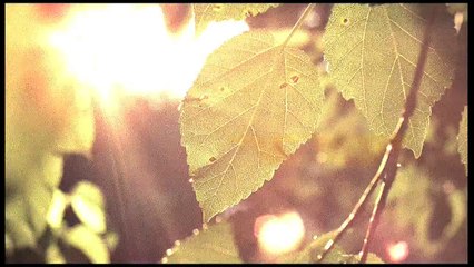 Kalamity Trailer (2010)