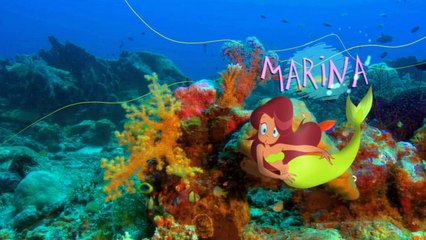Zig & Sharko  SHARKO AND HIS FOLKS