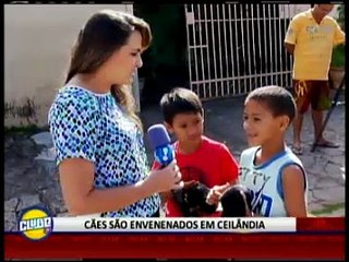 CÃES SÃO ENVENENADOS EM CEILÂNDIA