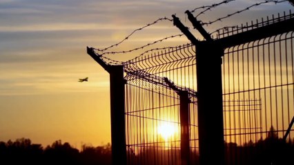 RIOT ft. Matthew Reese, Dolph Lundgren - Official Trailer [HD]