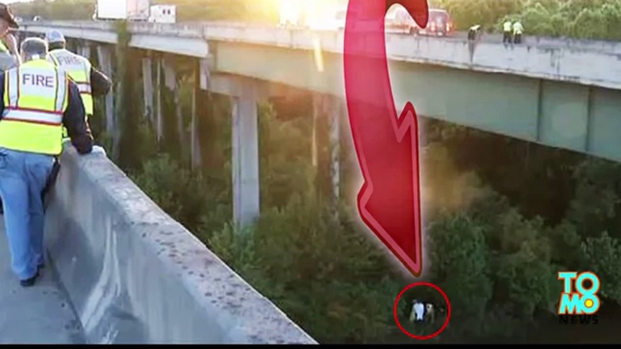 Мужчина был вынужден спрыгнуть с 20-метрового моста, чтобы избежать смерти