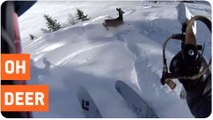 Skier Meets Bambi | Skiing With Nature