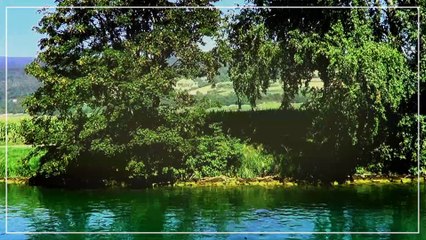 Croisière (Les trois Lacs) en Suisse