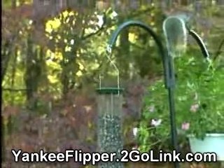 Droll Yankee Flipper Bird Feeder Funny
