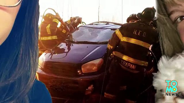 Двое спаслись в автомобиле, сорвавшемся с моста