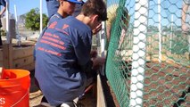 Watch: Major Leaguers and Action Team Teens Spruce Up Blue Butterfly Village | Major League Baseball Players Trust