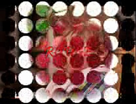 ROUGE DE Mr MICHEL SARDOU VISITE PAR JONNY CALAISIS