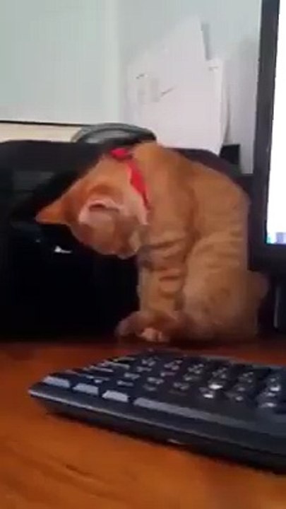 شاهد الفيديو وقل سبحان الله العظيم