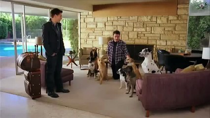4_Bud Light - Dog Sitter - 2011 Super Bowl Commercial Ad.mp4